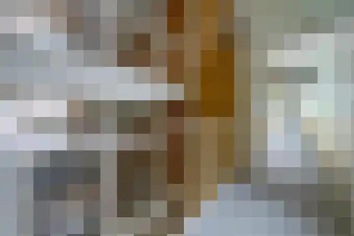 Prinses Marijkelaan 13 1 Zeist thumbnail 24