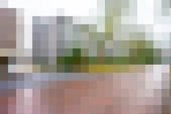 Prinses Marijkelaan 13 1 Zeist thumbnail 27