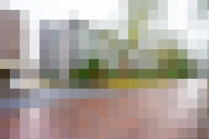 Prinses Marijkelaan 13 1 Zeist thumbnail 28