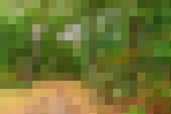 Prinses Marijkelaan 13 1 Zeist thumbnail 31