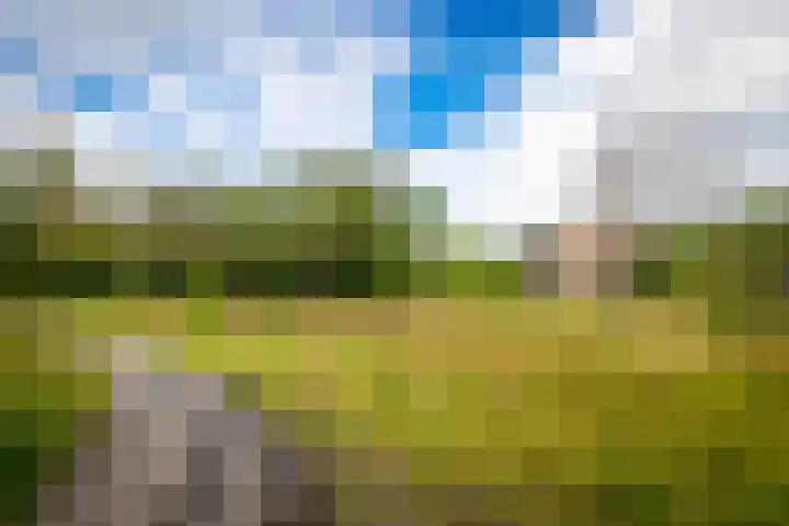 Prinses Marijkelaan 13 1 Zeist thumbnail 32