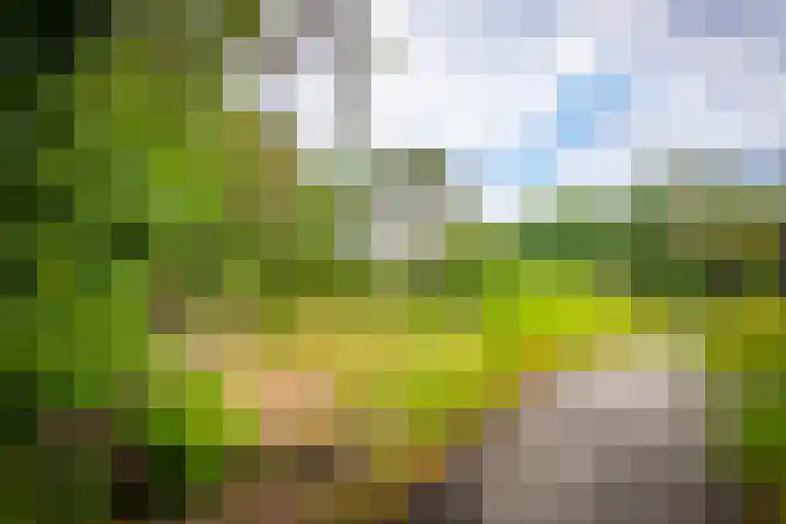 Prinses Marijkelaan 13 1 Zeist thumbnail 33