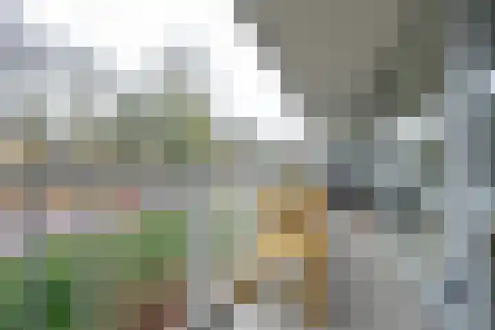 Prinses Marijkelaan 13 1 Zeist thumbnail 4