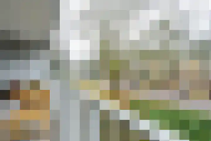 Prinses Marijkelaan 13 1 Zeist thumbnail 6