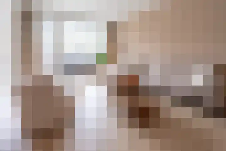 Prinses Marijkelaan 13 1 Zeist thumbnail 9