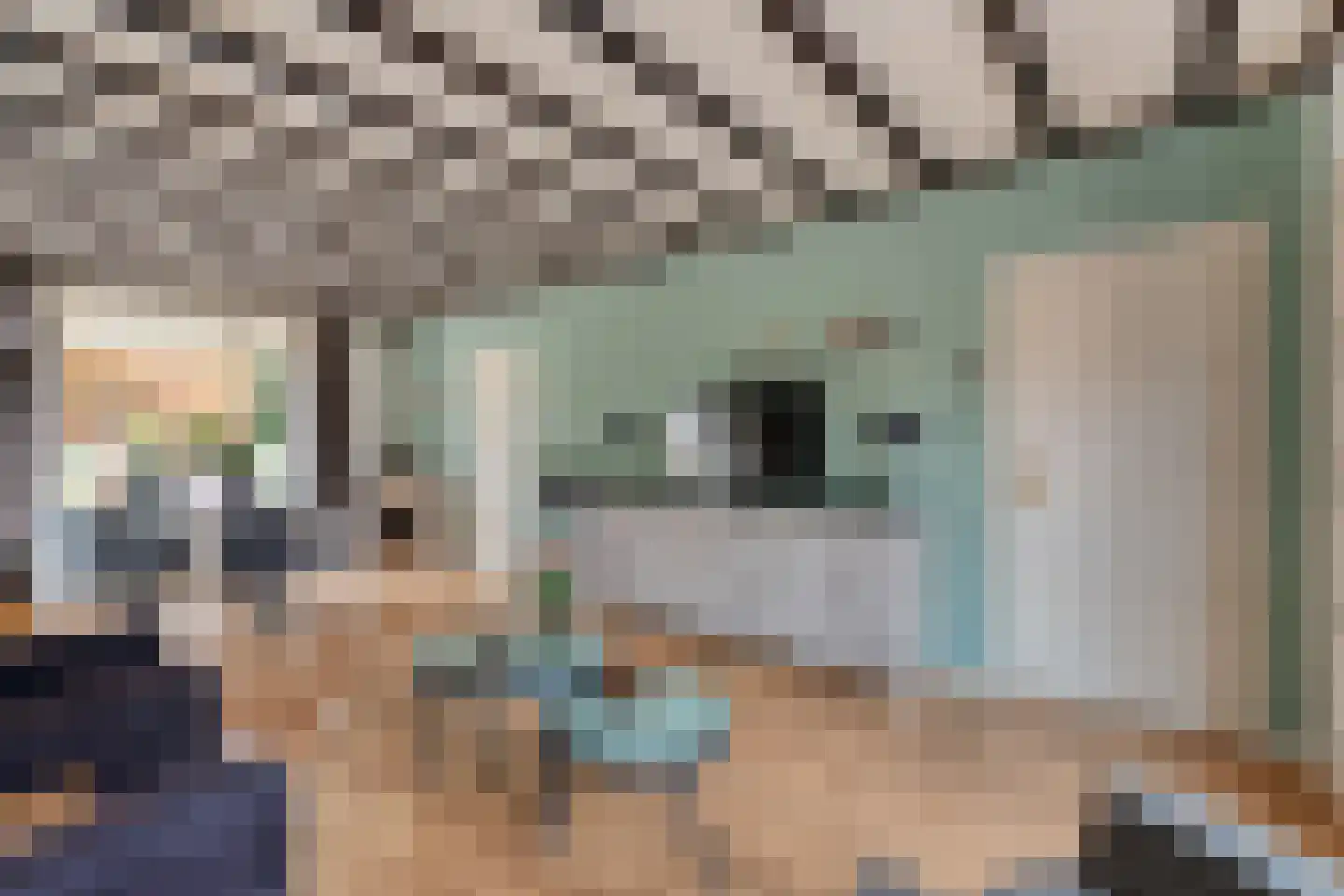 Prinses Marijkelaan 16 Slagharen thumbnail 10