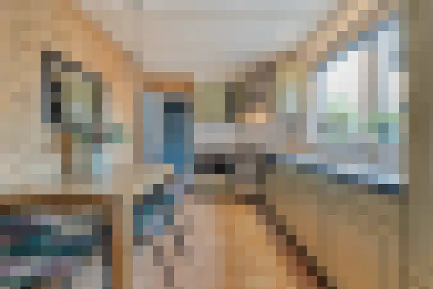 Prinses Marijkelaan 16 Slagharen thumbnail 12