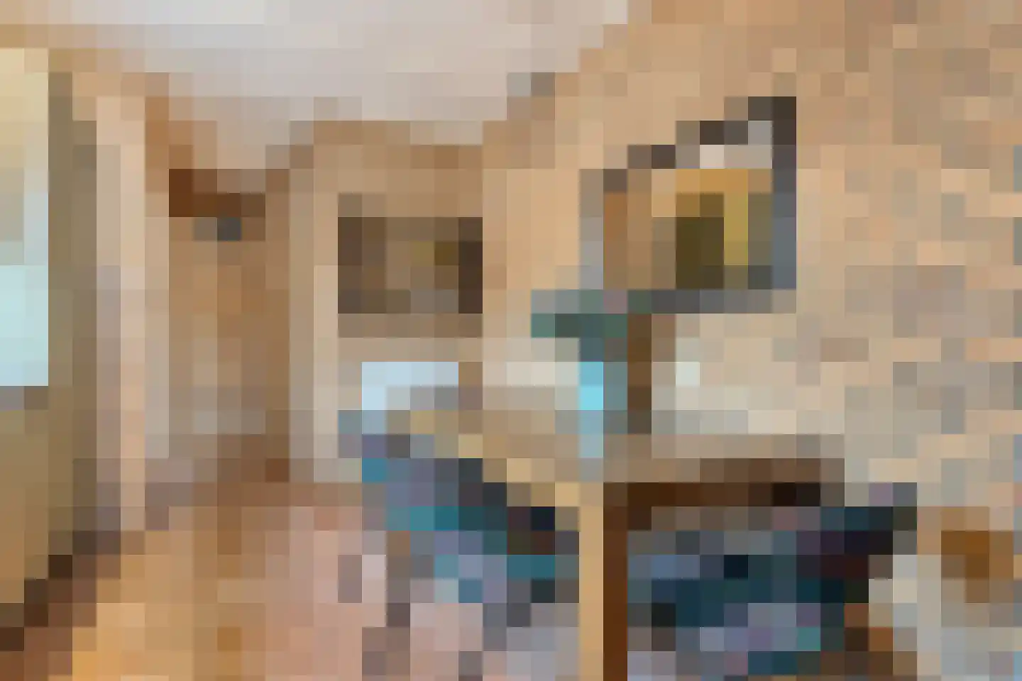 Prinses Marijkelaan 16 Slagharen thumbnail 13