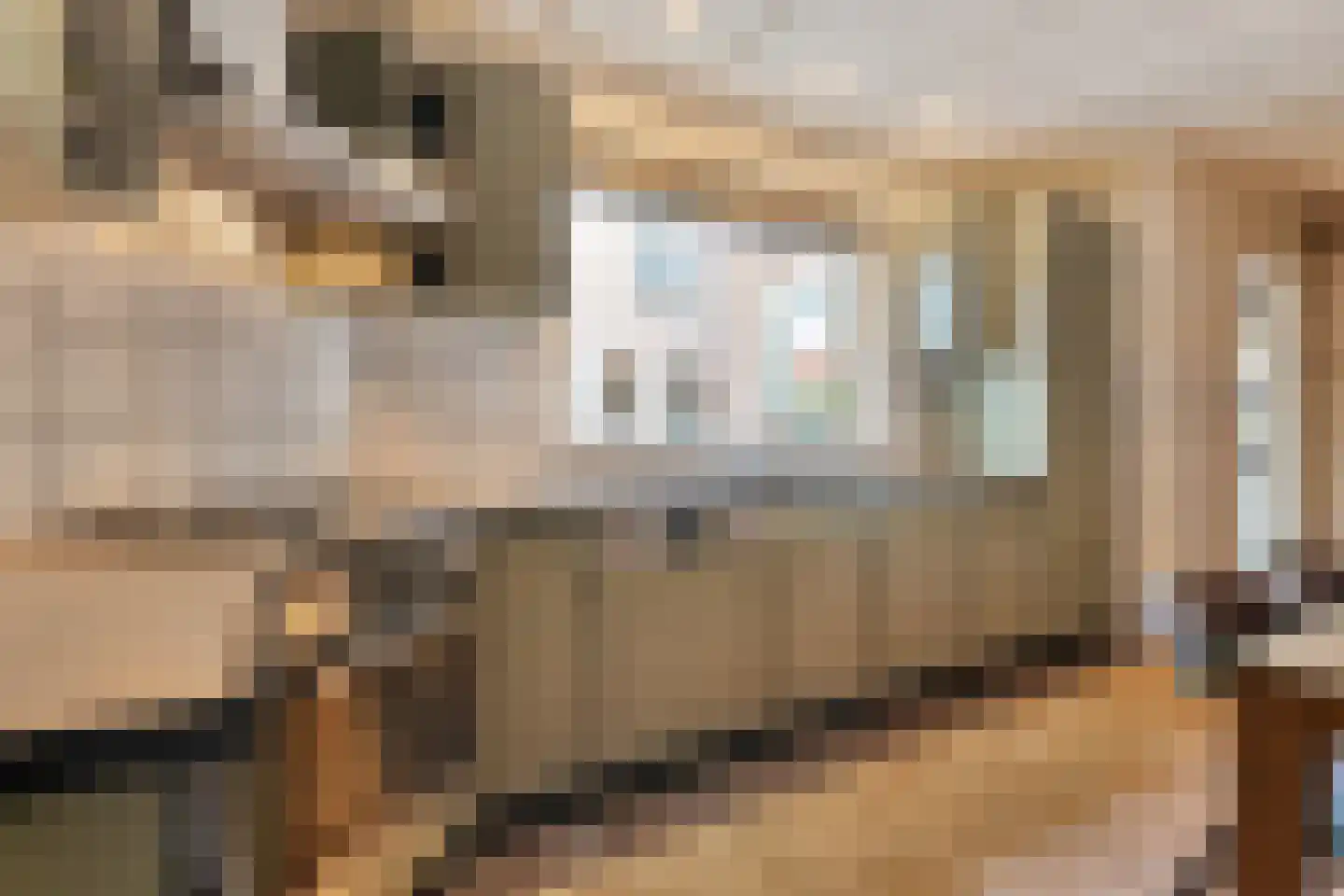 Prinses Marijkelaan 16 Slagharen thumbnail 14
