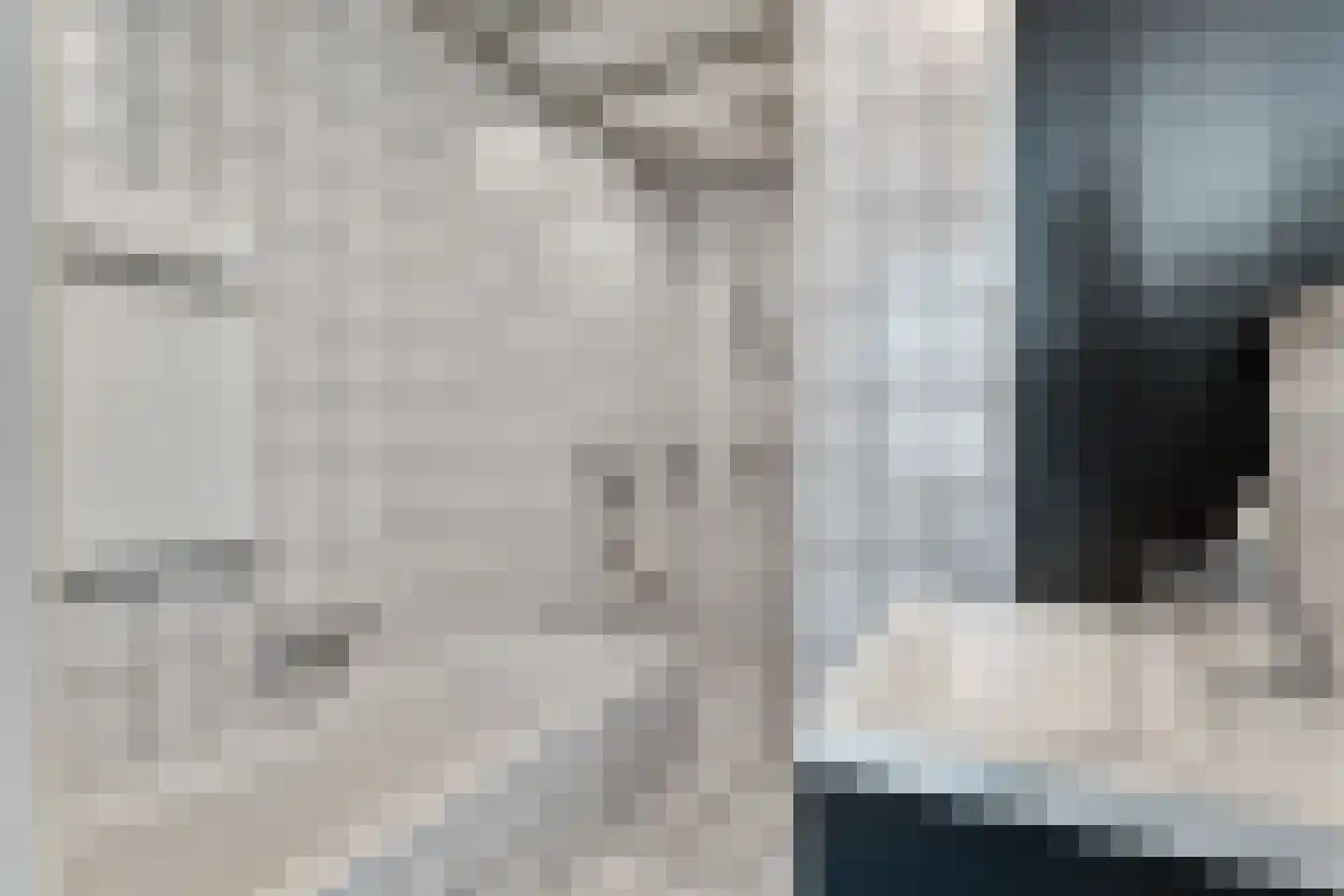Prinses Marijkelaan 16 Slagharen thumbnail 21
