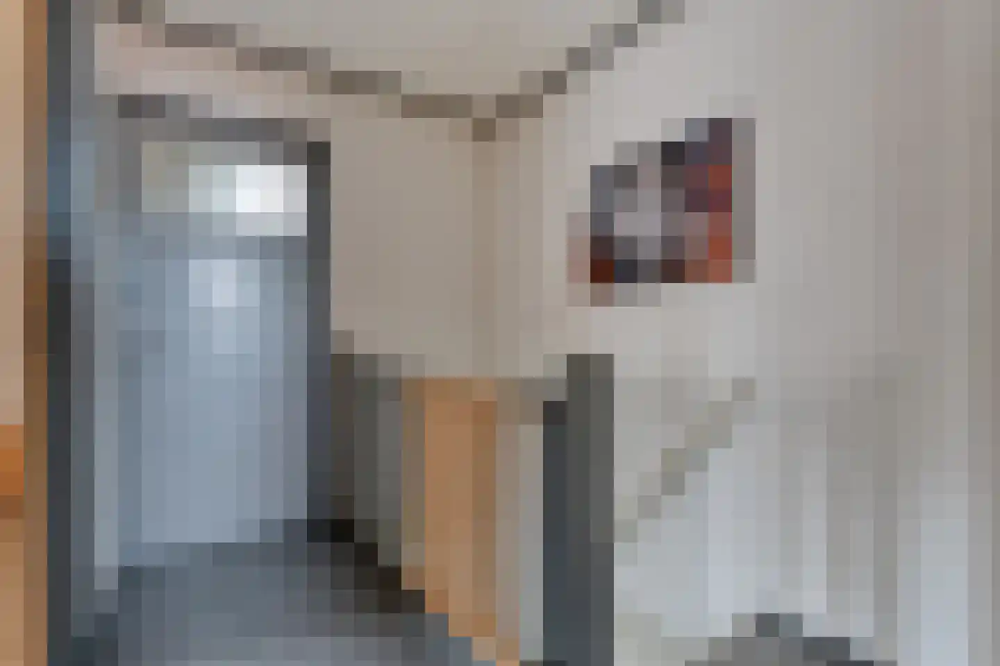 Prinses Marijkelaan 16 Slagharen thumbnail 23