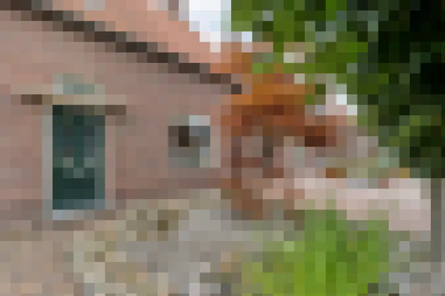 Prinses Marijkelaan 16 Slagharen thumbnail 4