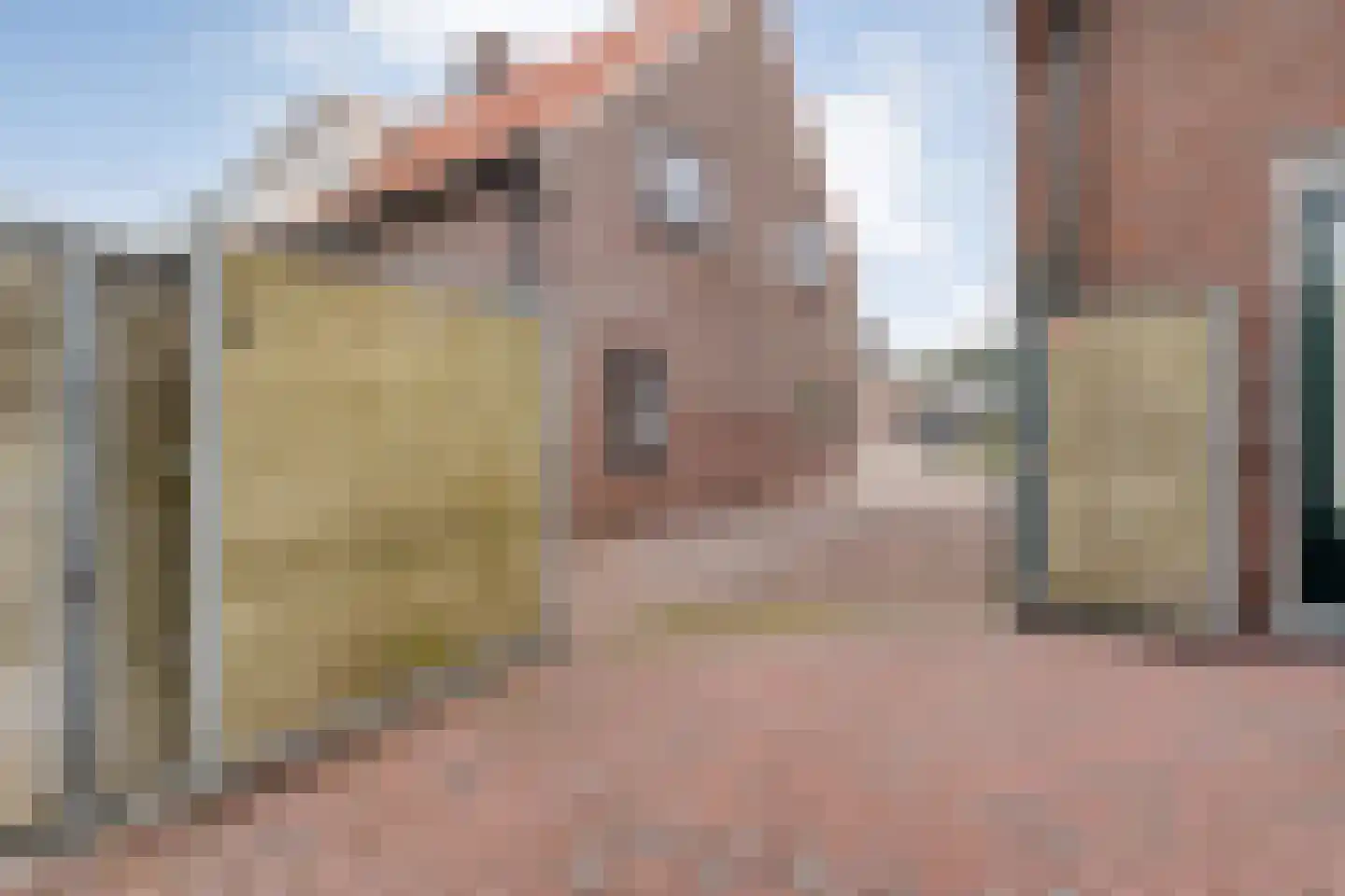 Prinses Marijkelaan 16 Slagharen thumbnail 42