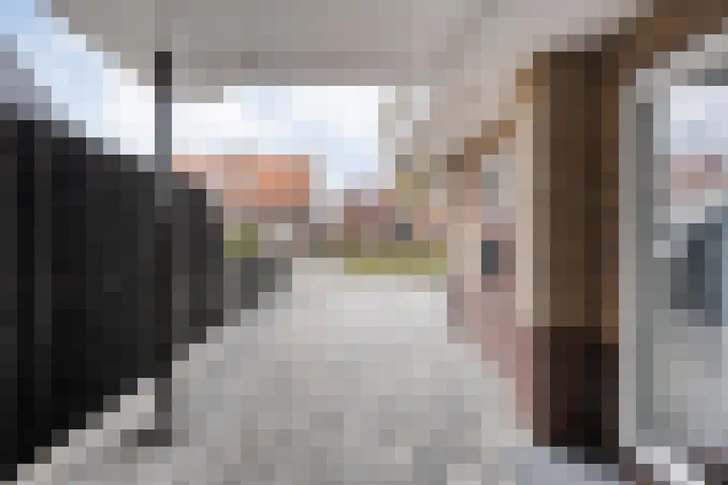 Prinses Marijkelaan 17 Slagharen thumbnail 12