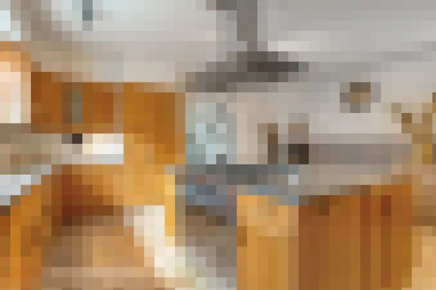 Prinses Marijkelaan 17 Slagharen thumbnail 13