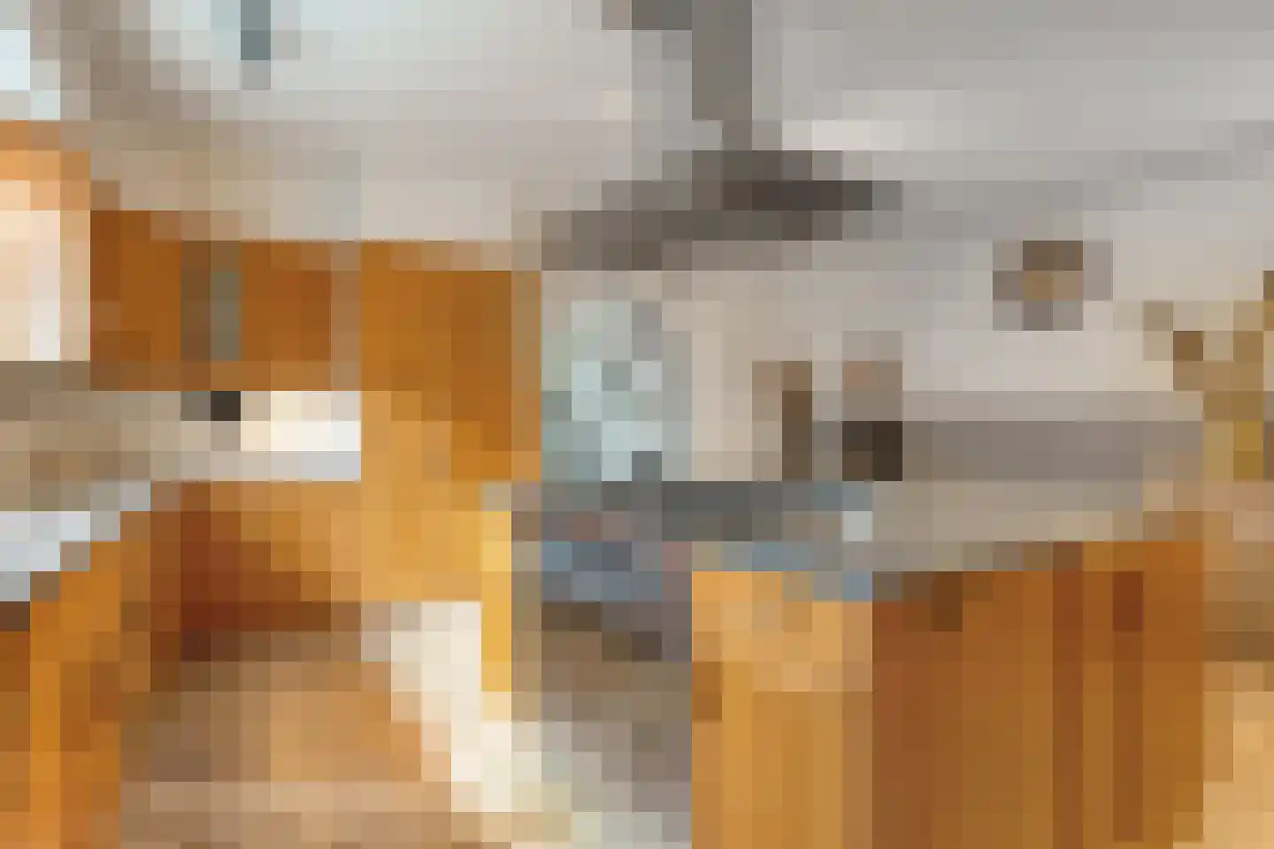 Prinses Marijkelaan 17 Slagharen thumbnail 18