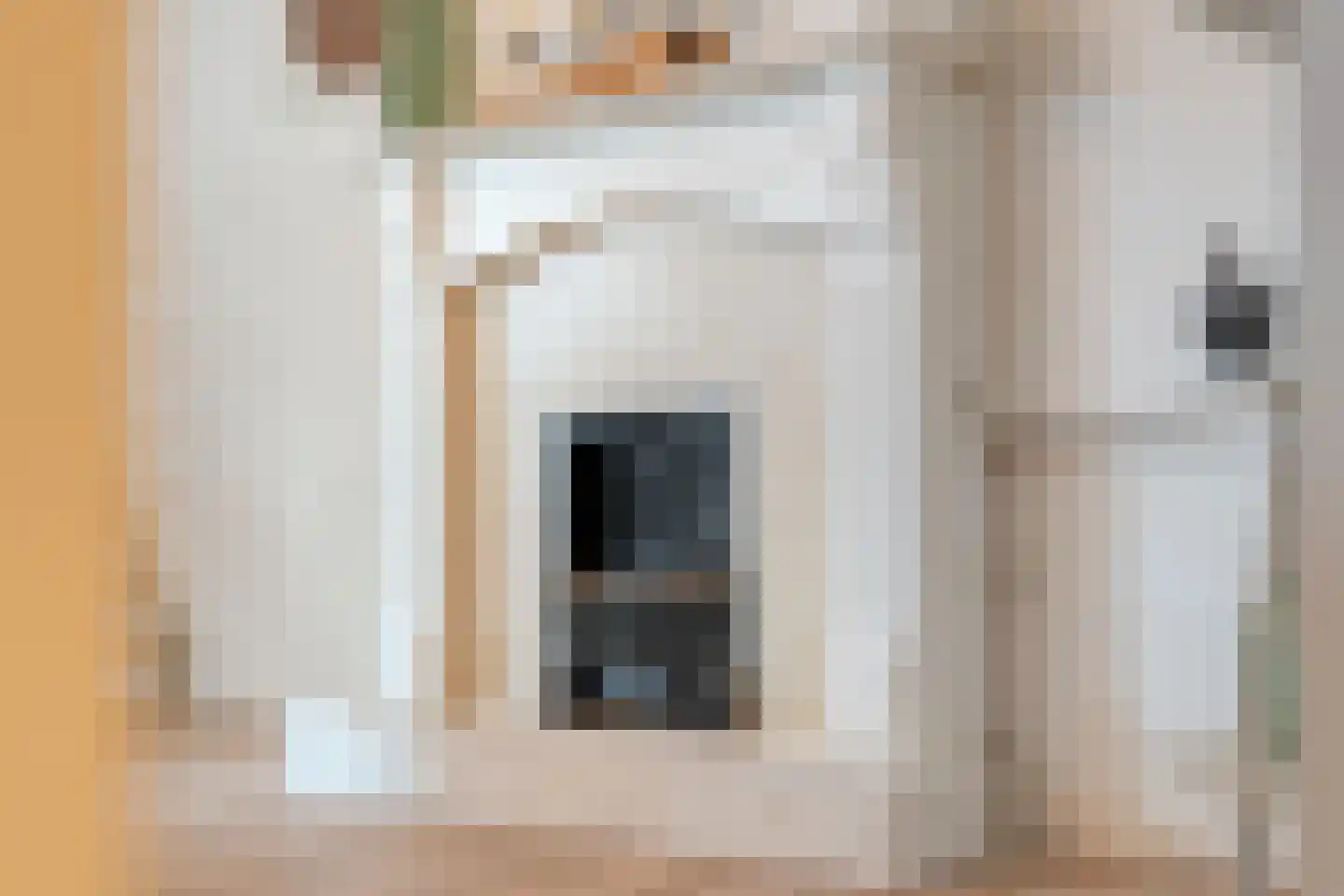Prinses Marijkelaan 17 Slagharen thumbnail 21