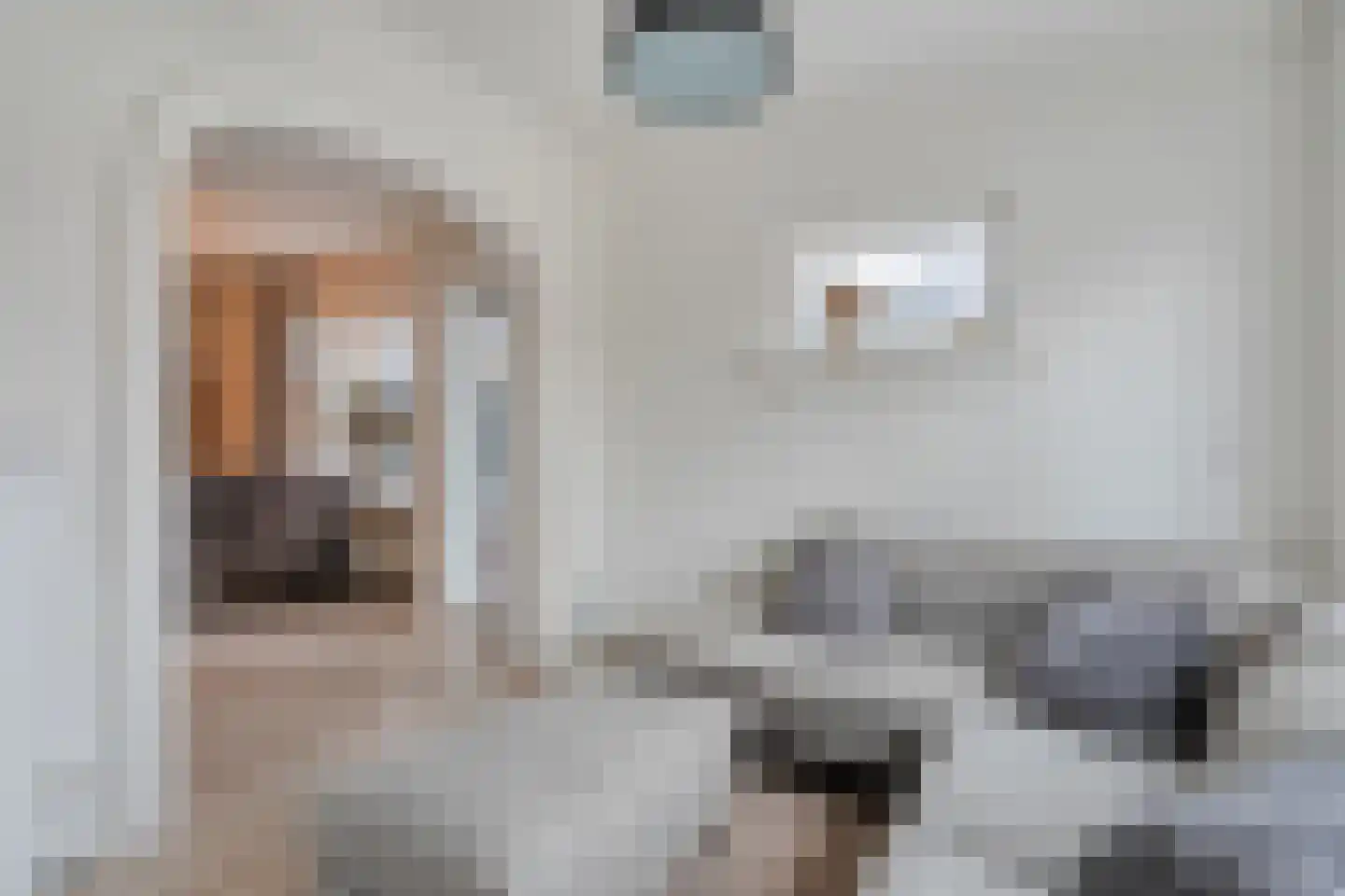 Prinses Marijkelaan 17 Slagharen thumbnail 23