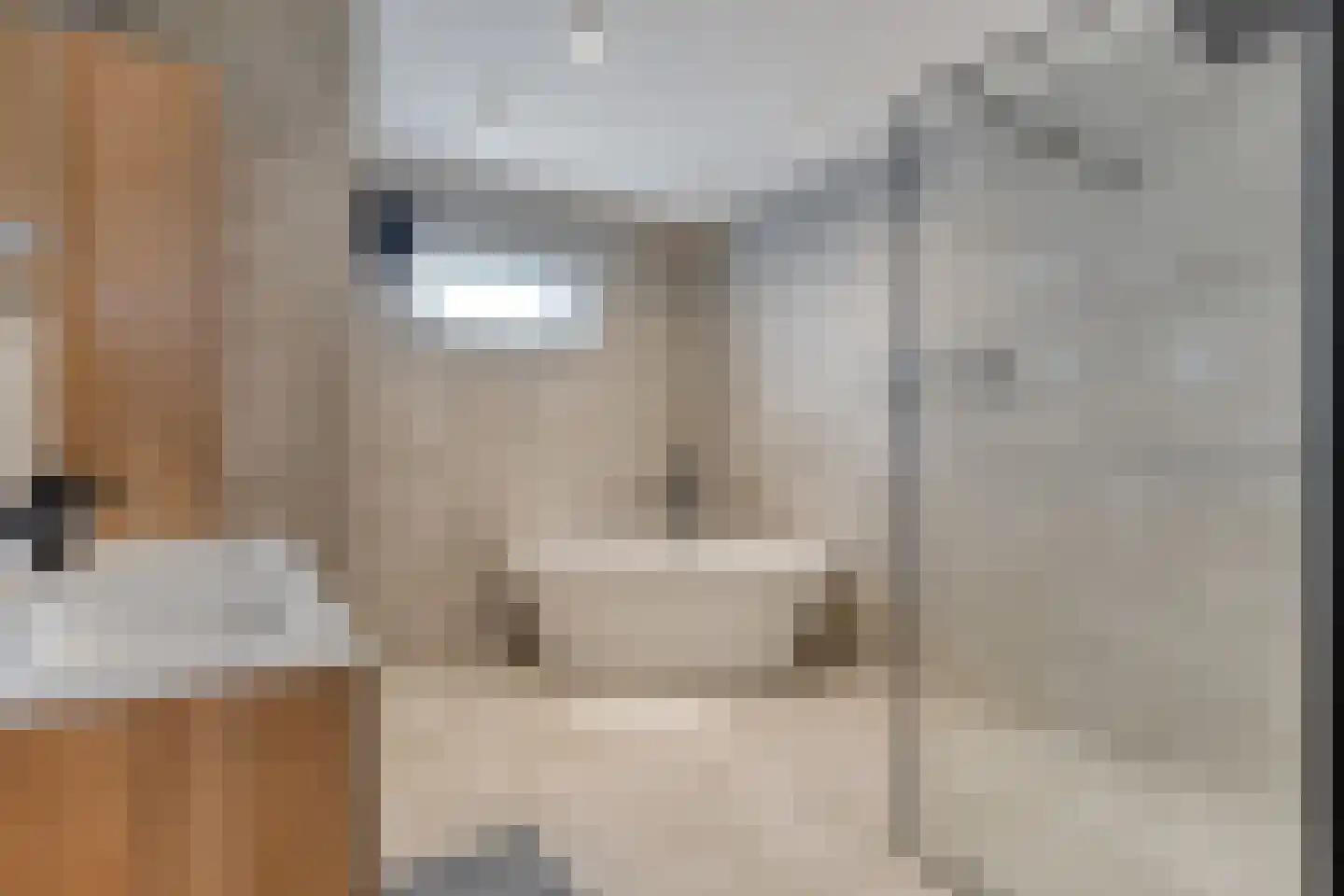 Prinses Marijkelaan 17 Slagharen thumbnail 27