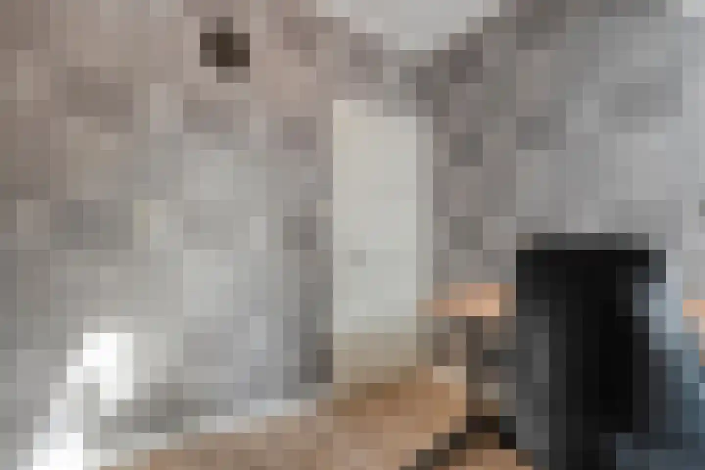 Prinses Marijkelaan 17 Slagharen thumbnail 41
