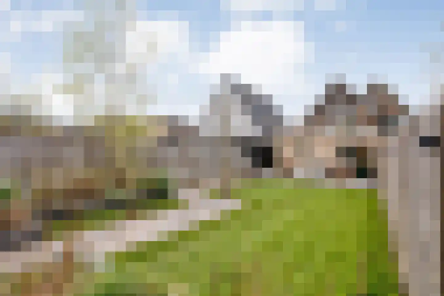 Prinses Marijkelaan 17 Slagharen thumbnail 50
