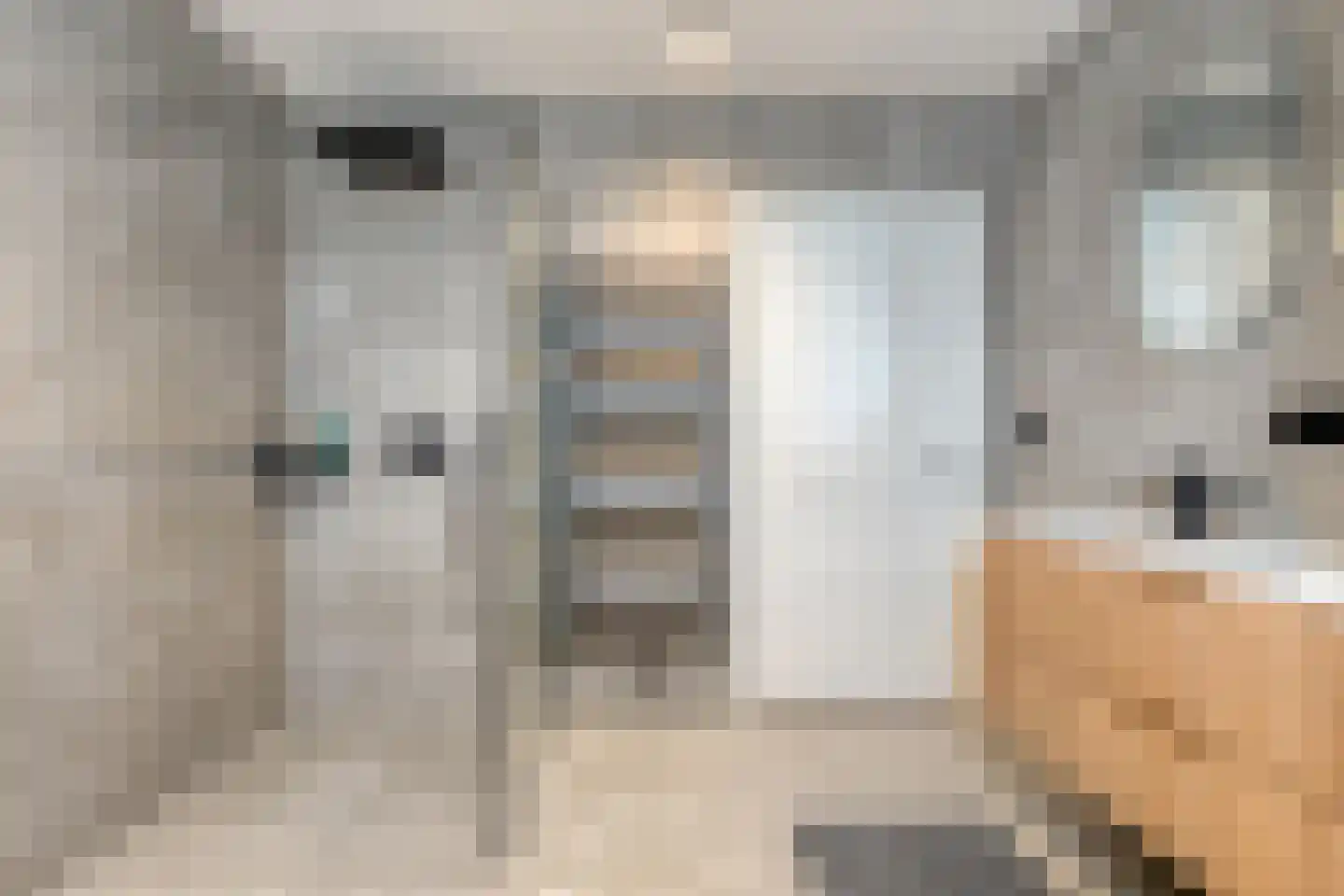 Prinses Marijkelaan 17 Slagharen thumbnail 7
