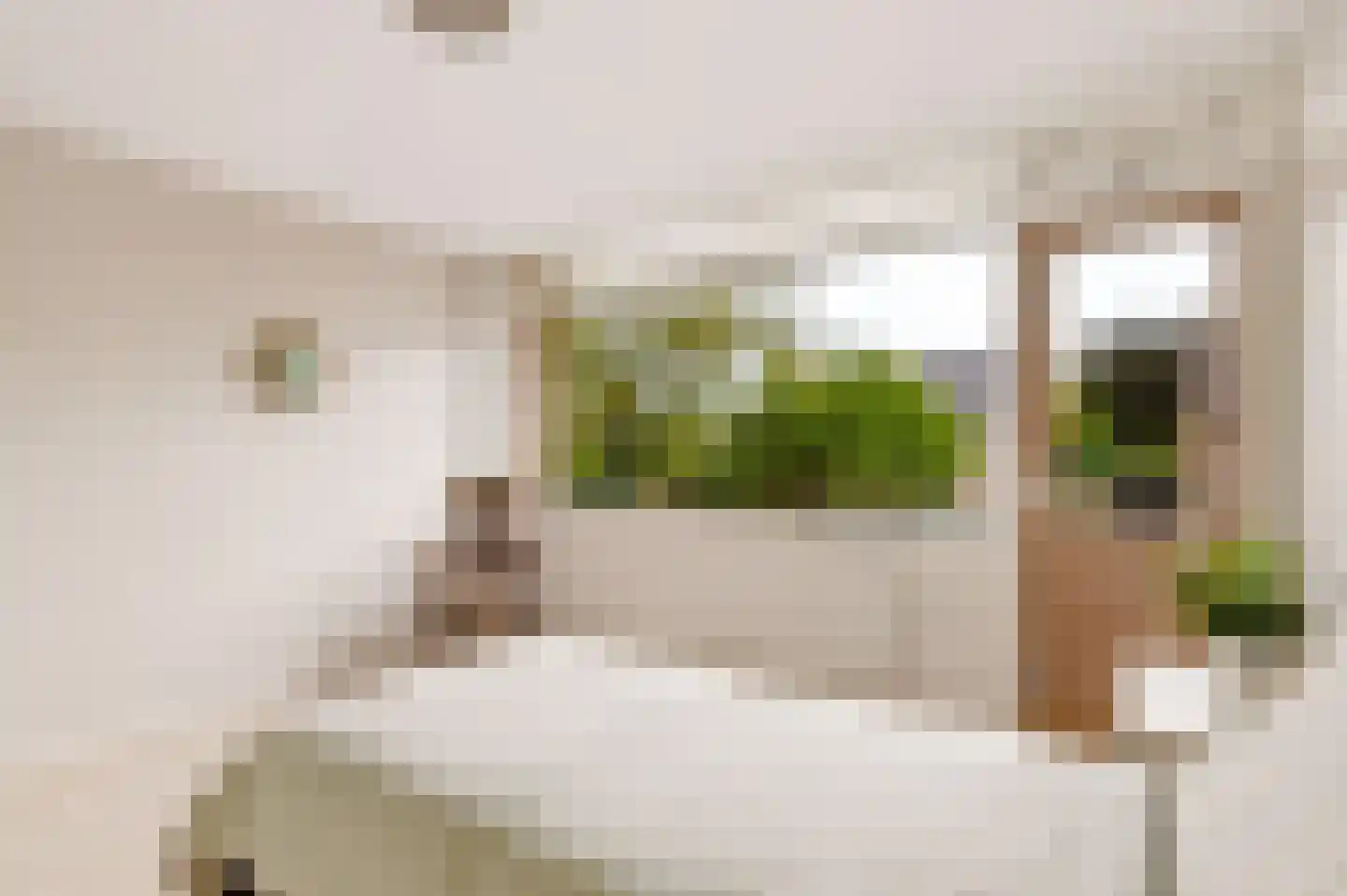 Prinses Marijkelaan 17 Tiel thumbnail 25