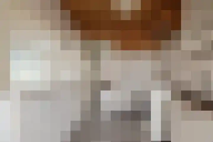 Prinses Marijkelaan 18 Oegstgeest thumbnail 10