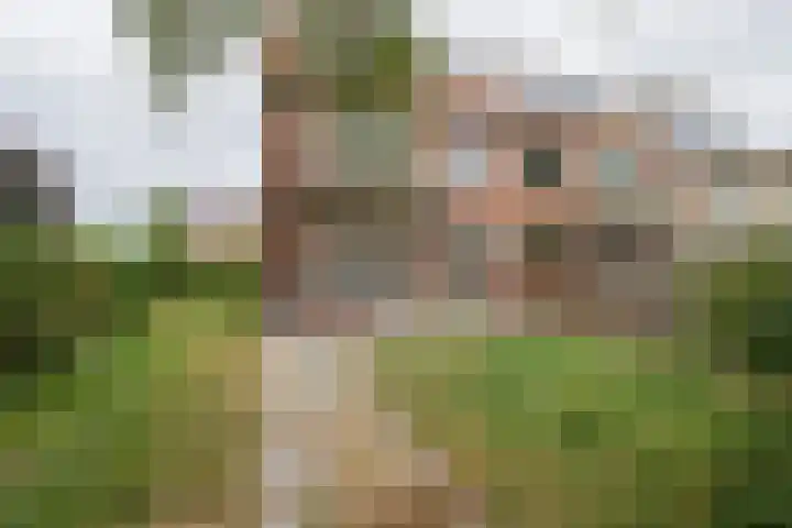 Prinses Marijkelaan 18 Oegstgeest thumbnail 15