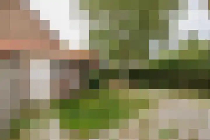 Prinses Marijkelaan 18 Oegstgeest thumbnail 16