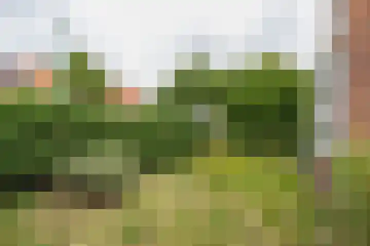 Prinses Marijkelaan 18 Oegstgeest thumbnail 18