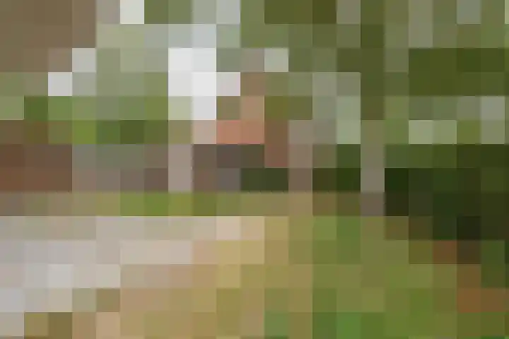 Prinses Marijkelaan 18 Oegstgeest thumbnail 20