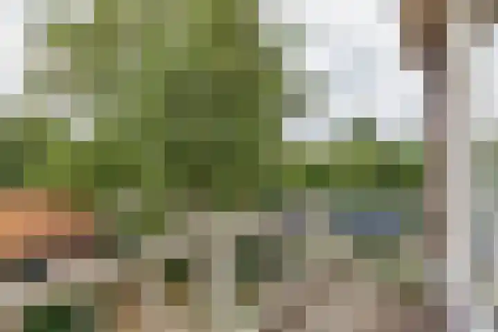 Prinses Marijkelaan 18 Oegstgeest thumbnail 33