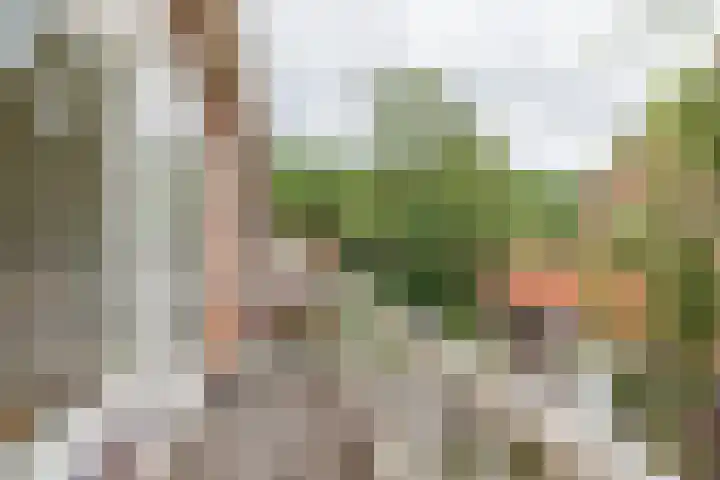 Prinses Marijkelaan 18 Oegstgeest thumbnail 34