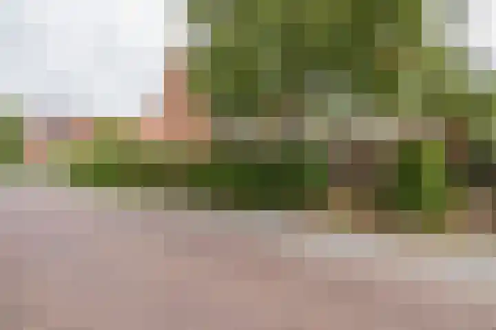 Prinses Marijkelaan 18 Oegstgeest thumbnail 5
