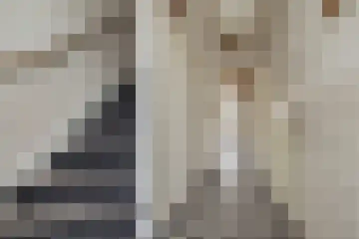 Prinses Marijkelaan 18 Oegstgeest thumbnail 7