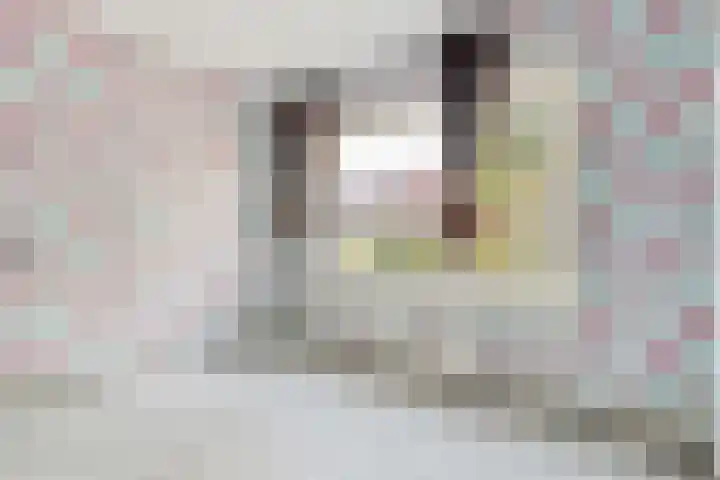 Prinses Marijkelaan 19 Slagharen thumbnail 10