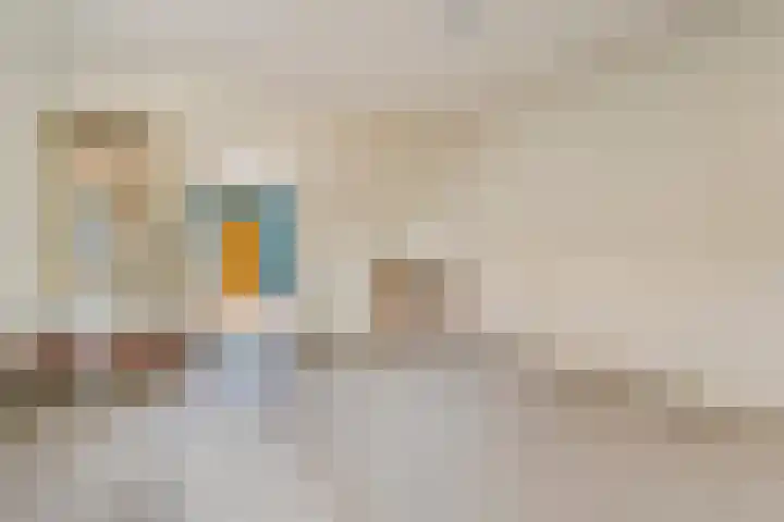 Prinses Marijkelaan 19 Slagharen thumbnail 12