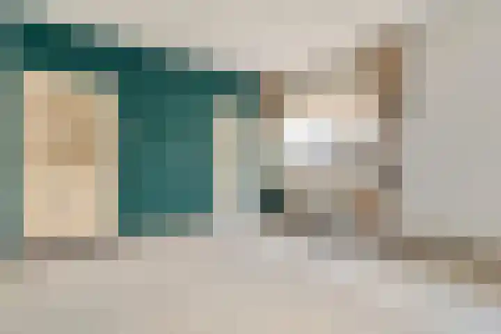 Prinses Marijkelaan 19 Slagharen thumbnail 13