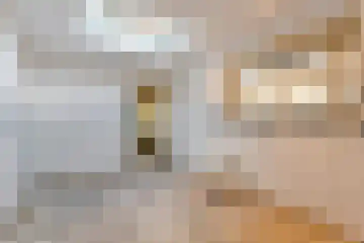 Prinses Marijkelaan 19 Slagharen thumbnail 17