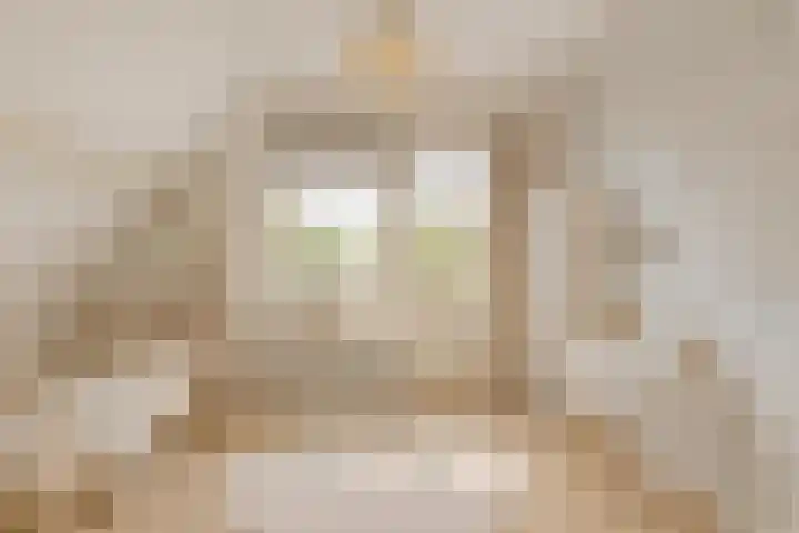 Prinses Marijkelaan 19 Slagharen thumbnail 22