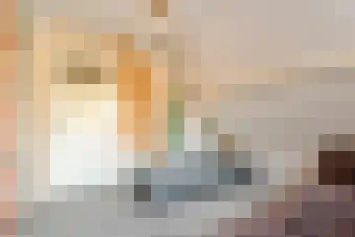 Prinses Marijkelaan 19 Slagharen thumbnail 23