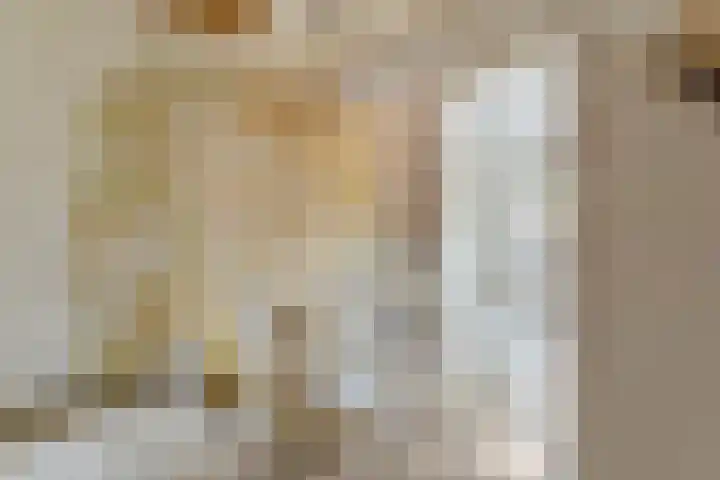 Prinses Marijkelaan 19 Slagharen thumbnail 24