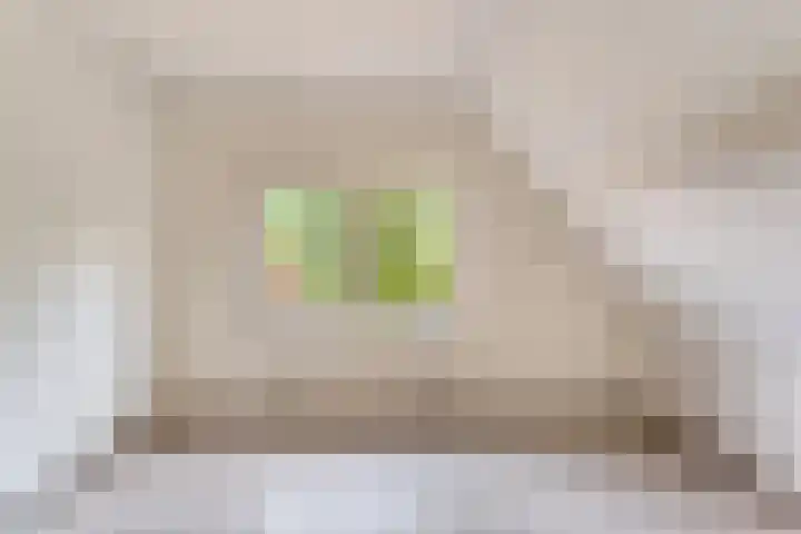 Prinses Marijkelaan 19 Slagharen thumbnail 25