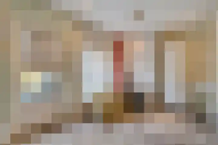 Prinses Marijkelaan 19 Slagharen thumbnail 27