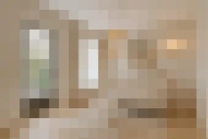 Prinses Marijkelaan 19 Slagharen thumbnail 28