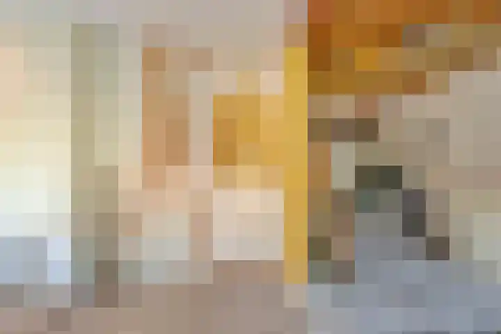 Prinses Marijkelaan 19 Slagharen thumbnail 29