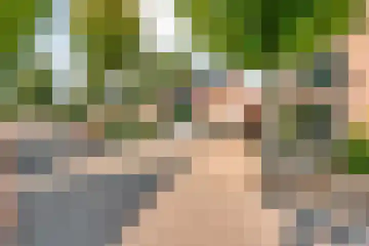 Prinses Marijkelaan 19 Slagharen foto 3