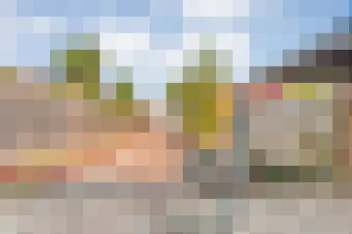Prinses Marijkelaan 19 Slagharen thumbnail 33