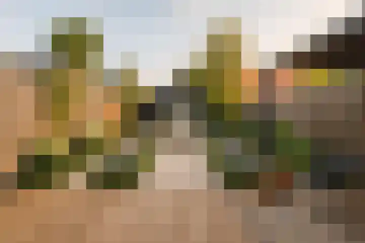 Prinses Marijkelaan 19 Slagharen thumbnail 34